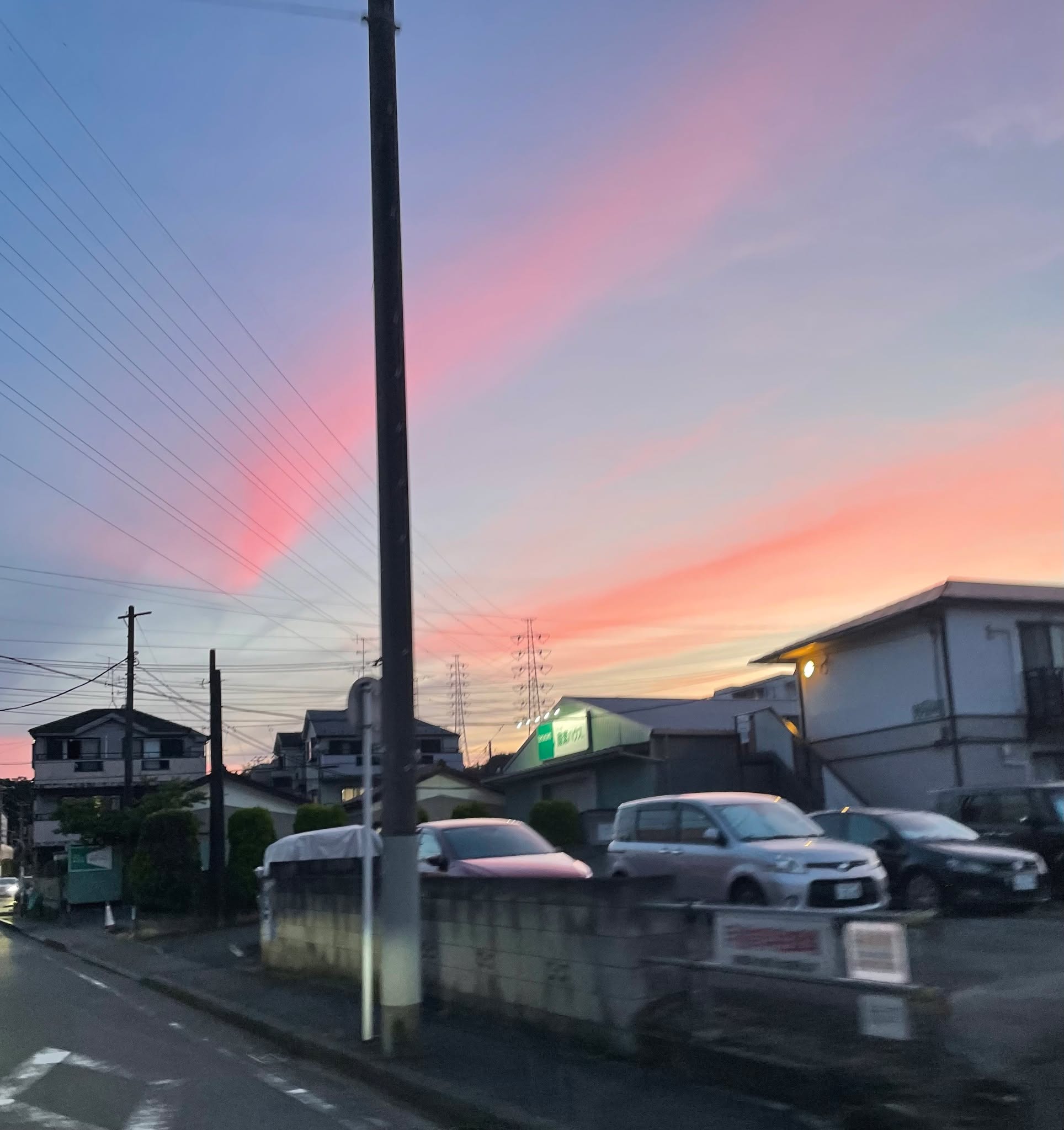 皆さんは人ですか？──神社参拝で必ず聞く質問