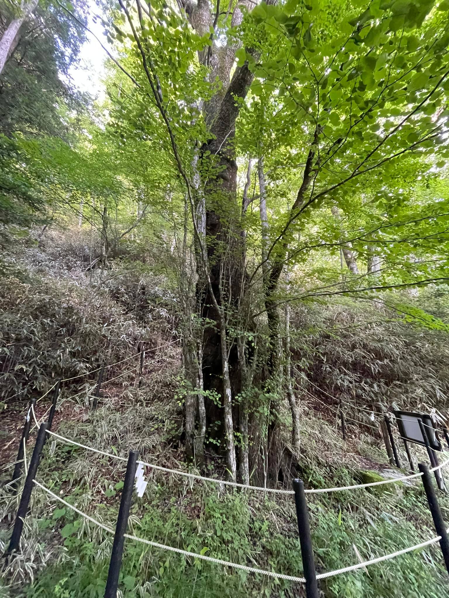 生き方は晩年に出る