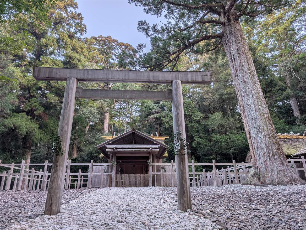 木の鳥居と白い玉砂利だけの境内。杉に囲まれている