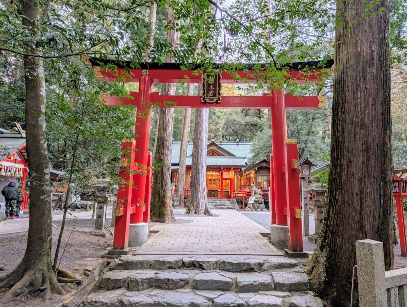 朱の鳥居の向こうに社殿が見える参道。まわりを杉が囲んでいる