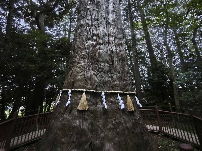 麻賀多神社（千葉）