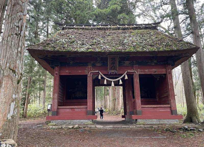 戸隠神社。奥社の随神門。ここから杉並木が始まります
