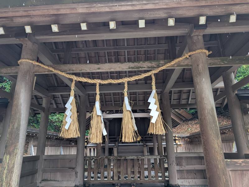 安房神社 注連縄をくぐって
